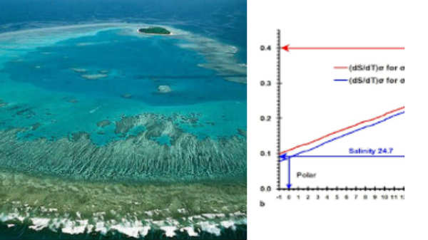 கடல் நீர் மட்டம் உயர்வு: 