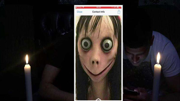 செய்திகளை அனுப்பும் மோமோ: 