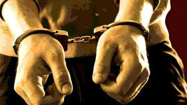 சைபர் பிரவு: