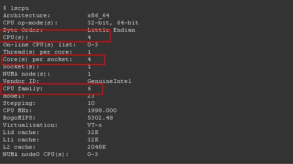 கோர்களின் எண்ணிக்கை