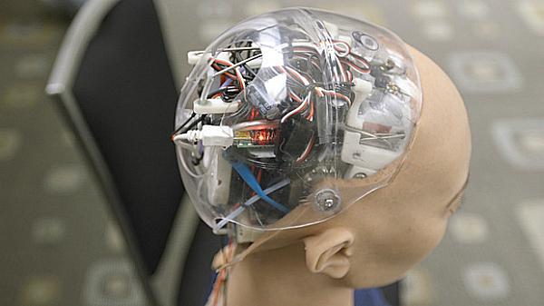 இயந்திரப் பூனை