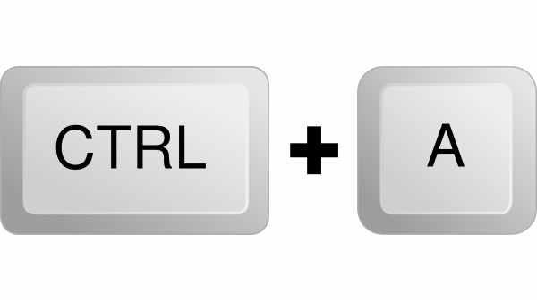  3.Ctrl+A