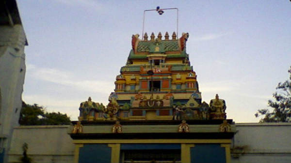 கோவிலில் வந்தது தேங்காய்உடைக்கும் புதிய தொழில்நுட்பம்.!