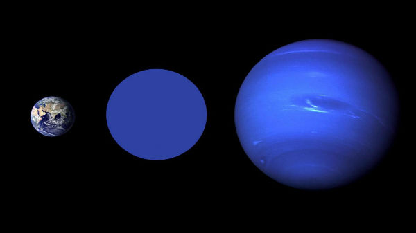 வுல்ப் 503பி