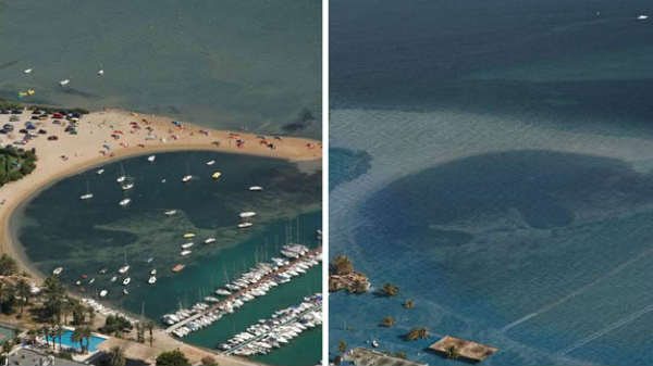 கிரீன்ஹவுஸ் வாயு உமிழ்வு காரணம்