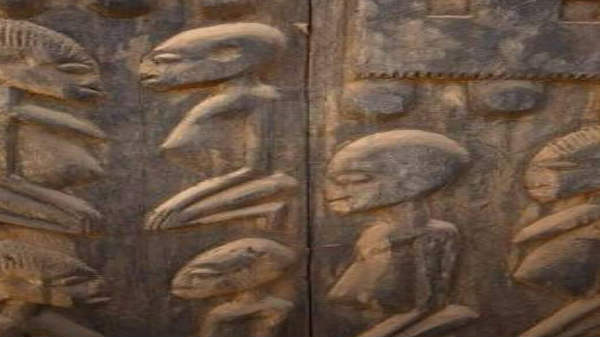 ஏலியன்களின் உருவம்:  