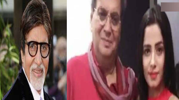 பாலிவுட்டையும் விட்டு வைக்கவில்லை: 