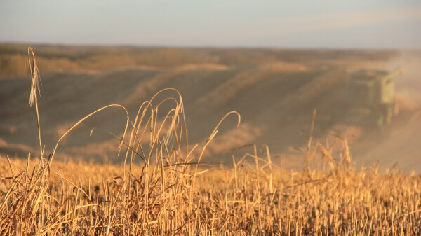 விவசாயி நிலத்தில் விண்கல் 