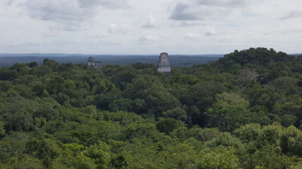 காட்டில் புதைந்துள்ள மாயா நாகரிகக் கட்டுமானங்கள்! 