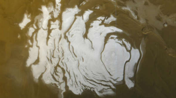 மனிதர்கள் நிச்சயம் உயிர் வாழ முடியும்