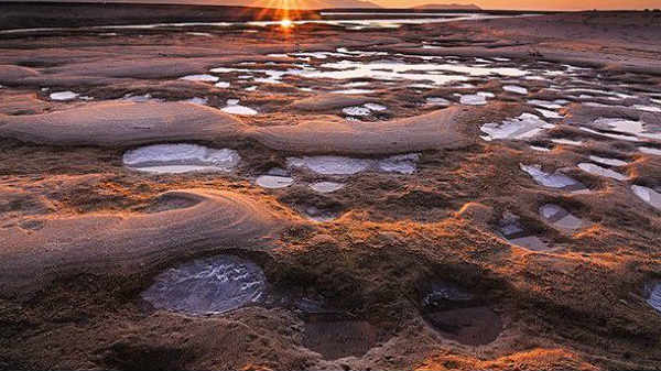  உயிரினங்கள் வாழ இயலும்