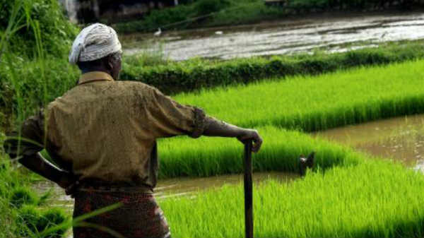 விவசாயி நிலத்தில் விண்கல் 