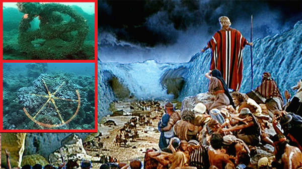 5000க்கும் அதிகமான எலும்புக்கூடுகள்