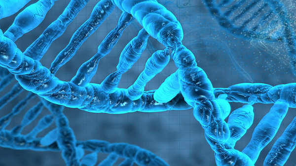 08. ஆனால் கவலை வேண்டாம் - நமக்கு நிறைய டி.என்.ஏ உள்ளது!