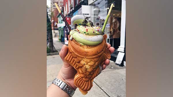 மீன் வடிவ கூம்பு