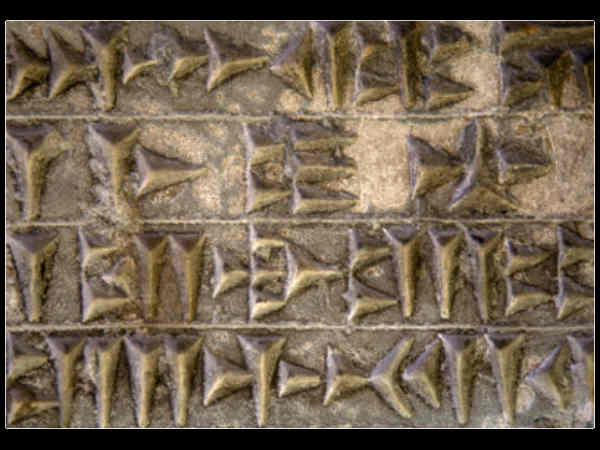 உலகின் மூத்த மொழியே தமிழ் எனக்  கூறி அதிரவிட்ட ஏலியன்கள்.! 