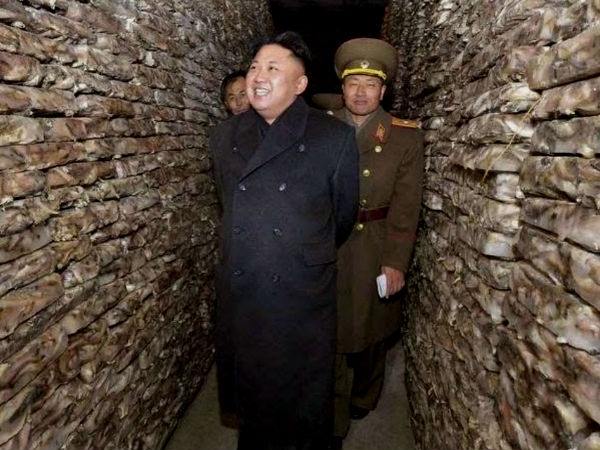 சொந்த நாணயம் அடிப்படையில் பயனற்றது