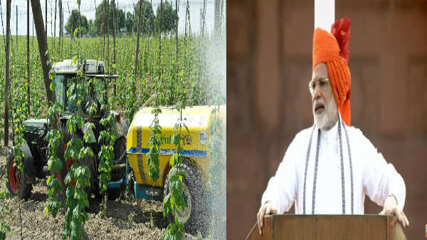 சோதனையில் எஸ்பிஐ: 