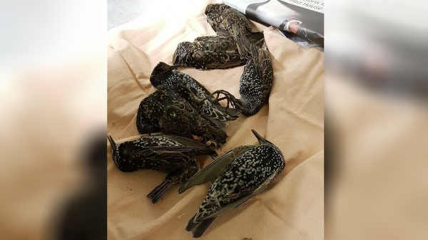 அப்பகுதி மக்கள் தெரிவித்தது 