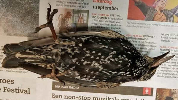 உலகை நம்மை அறியாமல் அளித்துக் கொண்டிருக்கிறோம் 