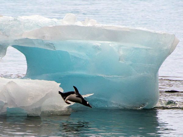 காலநிலை மற்றும் கடலின் வெப்பநிலை :