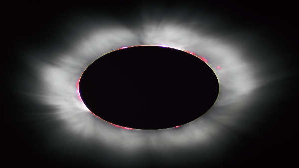 இந்தியாவில் காண முடியும்:  