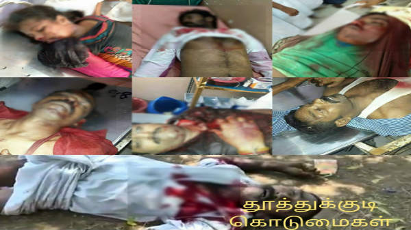  7 பேர் பலி: 