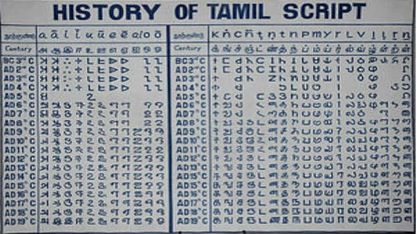 முதன்மை மொழி: