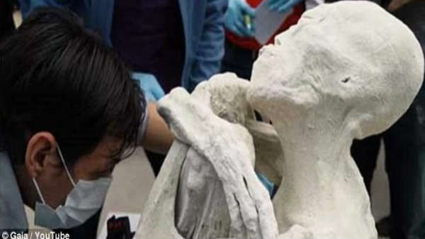  உடலை கண்டுபிடித்த  பத்திரிக்கைகாரர்: 