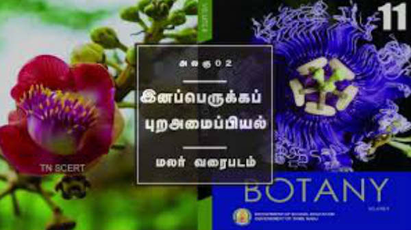  தனி டிவி சேனல்: 