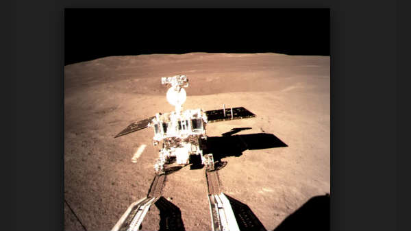 முயலின் பெயர் 