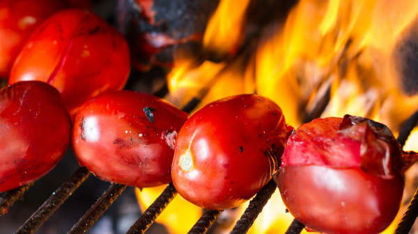 ஆராய்ச்சியாளர்கள் 