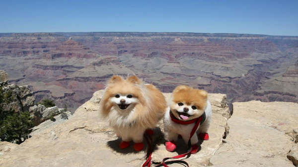 மிகுந்த வருத்தம்: 