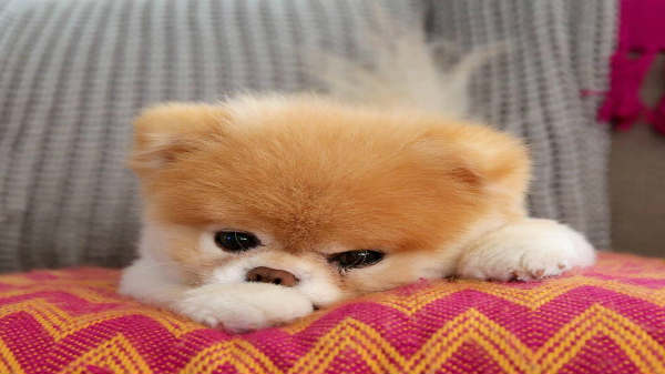 பேஸ்புக்கில் தகவல்:  