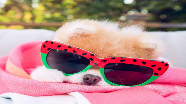 பேஸ்புக்கில் 16000 பின் தொடர்கின்றனர்: 