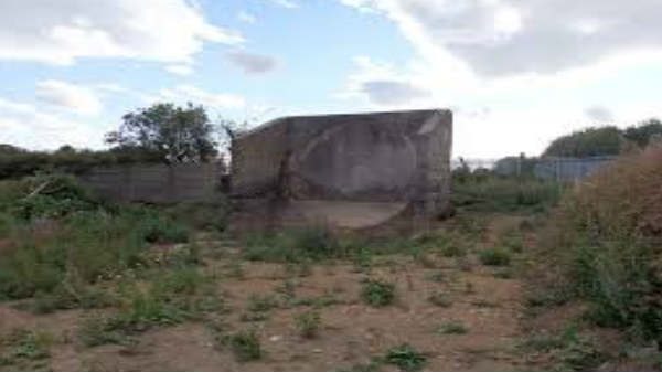 விவசாய நிலத்திலும் 