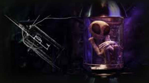 பறக்கும் விமானங்கள்: 