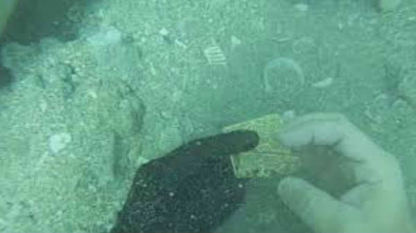 தண்ணீரில் மிந்த வெள்ளித்துகள்: