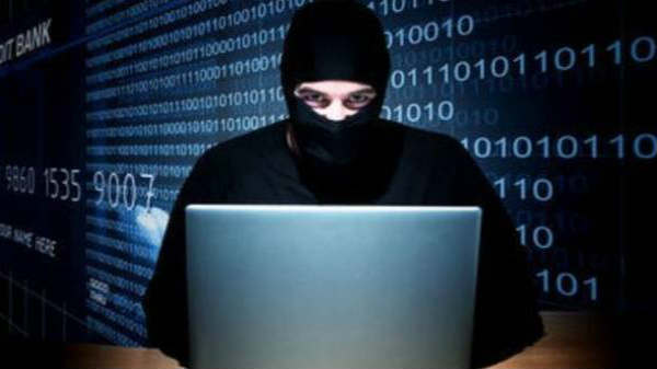 ஹேர்களிகள் அட்டகாசம்: 