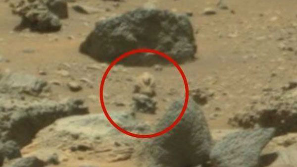 போர்கவசம் அணிந்துள்ள ஏலியன் 