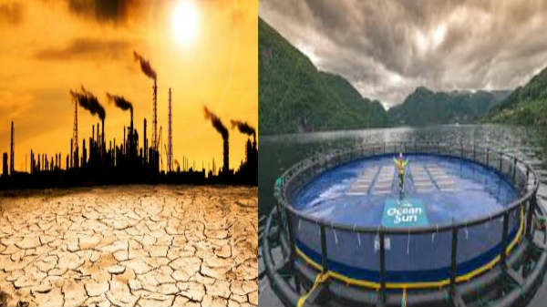 ஓரே கல்லில் இரண்டு மாங்காய்: 