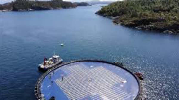 வானிலை மாற்றம் இருக்காது: 