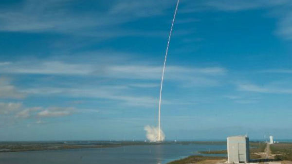 ஒரு எலிக்குஞ்சுயாக மாறும்.! 