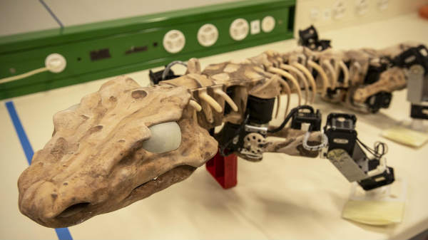 அதிசயம்: புதைபடிமத்தில் இருந்து படைக்கப்பட்ட ரோபோ விலங்கு.!