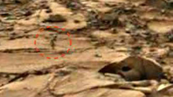 செவ்வாய் கிரகத்தில் 2 ஏலியன்: 