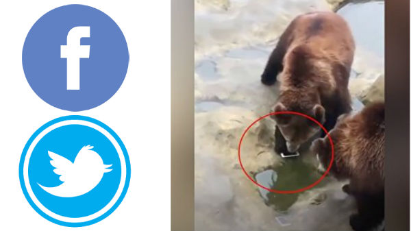 மருத்துவ பரிசோதனை