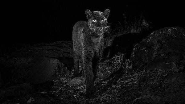 வைரல் புகைப்படம் மற்றும் செய்தி