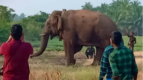 கும்மியாக மாற்ற எதிர்ப்பு: 