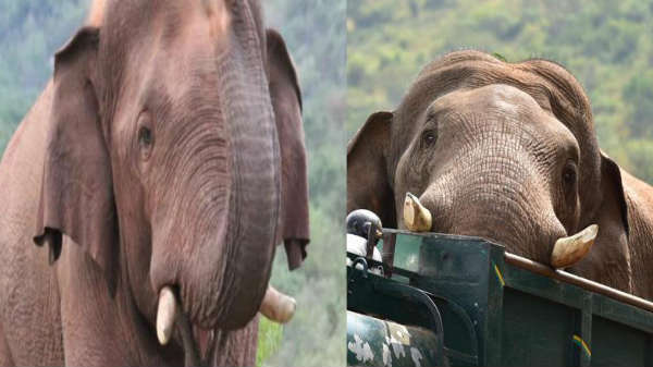 சின்னத்தம்பி பிக்கப்பட்டது: