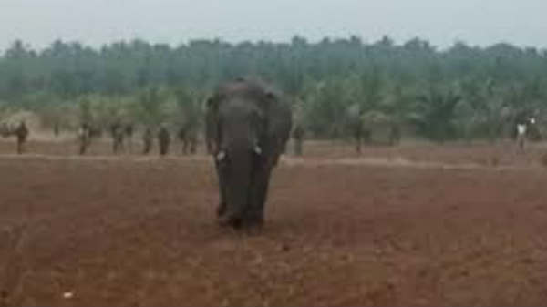 சின்னத்தம்பி மிஸ்ங்:  